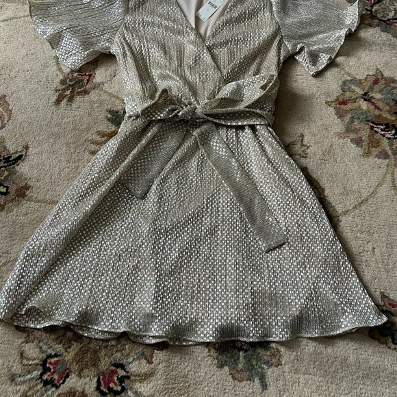 NWT Anthro Waverly Grey Mini Dress - Picture 4 of 7